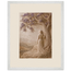 Old Friend: petra and herbarium. Framed fine art print by The Light Stays.
