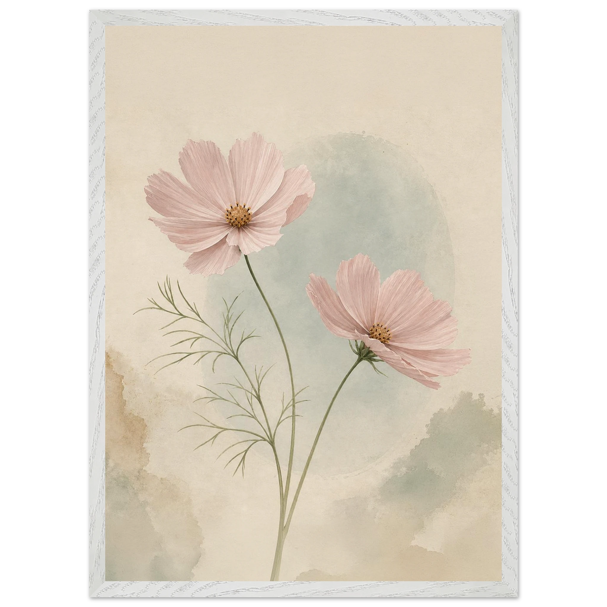 Cosmos Unison: flowers, blush and celadon. Framed fine art print by The Light Stays.