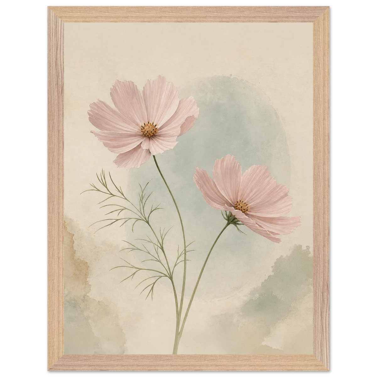 Cosmos Unison: flowers, blush and celadon. Framed fine art print by The Light Stays.