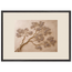 Lilac Reach: petra and flora. Museum-quality framed fine art print.