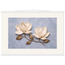 Bronze Magnolia, flowers and botanical. Archival fine art poster shown framed.