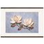 Bronze Magnolia: flowers and botanical. Fine art poster by The Light Stays.