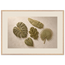 Green Constellation, botanical, green and loose rhythm. Archival framed fine art print shown framed.