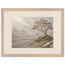 Old Growth: petra and herbarium. Museum-quality framed fine art print.