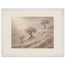 Blossom Terraces: flowers and botanical. Framed fine art print by The Light Stays.