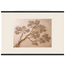 Lilac Reach, flowers and botanical. Archival fine art poster shown framed.
