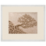 Root Lattice: petra and herbarium. Framed fine art print by The Light Stays.