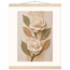 Carved Camellia, flowers and botanical. Archival fine art poster shown framed.