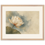 First Lotus Light: flowers and botanical. Framed fine art print by The Light Stays.