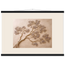 Lilac Reach, flowers and botanical. Archival fine art poster shown framed.
