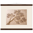 Lilac Reach: flowers and botanical. Fine art poster by The Light Stays.