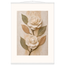 Carved Camellia: flowers and botanical. Fine art poster by The Light Stays.
