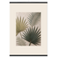 Carved Fronds: impasto, leaves and sand tones. Fine art poster by The Light Stays.