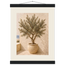 Olive Terrace: landscape and sun. Fine art poster by The Light Stays.