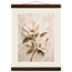 Gilded Magnolia: flowers and botanical. Fine art poster, alternate frame and size.