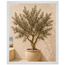 Olive Terrace: landscape and sun. Museum-quality framed fine art print.