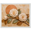 Camellia Eclipse: flowers and botanical. Framed fine art print by The Light Stays.