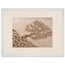 Root Lattice, petra and herbarium. Archival framed fine art print shown framed.