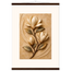 Magnolia Arc: flowers and botanical. Museum-quality fine art poster.