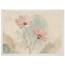 be166b50-5989-4fa6-8bc6-d7b6a6de4581