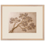 Lilac Reach: petra and flora. Framed fine art print by The Light Stays.