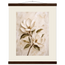 Gilded Magnolia: flowers and botanical. Fine art poster by The Light Stays.