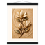 Magnolia Arc: flowers and botanical. Fine art poster by The Light Stays.