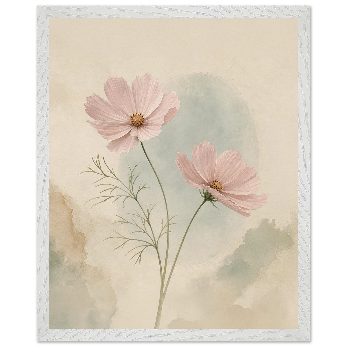 Cosmos Unison: flowers, blush and celadon. Framed fine art print by The Light Stays.
