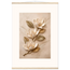 Magnolia Ascent: flowers and botanical. Museum-quality fine art poster.