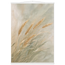 c8fe121d-bec0-4de8-8bc7-ab4ed120e689