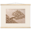 Root Lattice, petra and herbarium. Archival fine art poster shown framed.