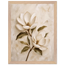 Gilded Magnolia: flowers and botanical. Framed fine art print by The Light Stays.