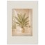 Courtyard Noon: landscape and sun. Museum-quality framed fine art print.
