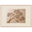 Lilac Reach: petra and flora. Museum-quality framed fine art print.