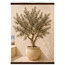 Olive Terrace, landscape and sun. Archival fine art poster shown framed.