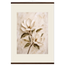 Gilded Magnolia: flowers and botanical. Museum-quality fine art poster.