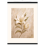 Alabaster Lily, flowers and botanical. Archival fine art poster shown framed.
