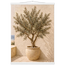 Olive Terrace: landscape and sun. Museum-quality fine art poster.