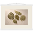 Green Constellation: botanical, green and loose rhythm. Museum-quality fine art poster.