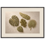 Green Constellation, botanical, green and loose rhythm. Archival framed fine art print shown framed.