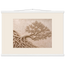 Root Lattice: petra and herbarium. Fine art poster by The Light Stays.