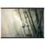 d000cd93-7936-46d1-938e-445ff128b749