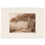 Under the Blossoms: petra and flora. Fine art poster, alternate frame and size.