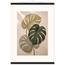 Stone Monstera: botanical and nature. Museum-quality fine art poster.