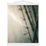 d2d07420-43e5-4aee-b622-87b1c2a3908d