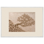 Root Lattice: petra and herbarium. Museum-quality framed fine art print.