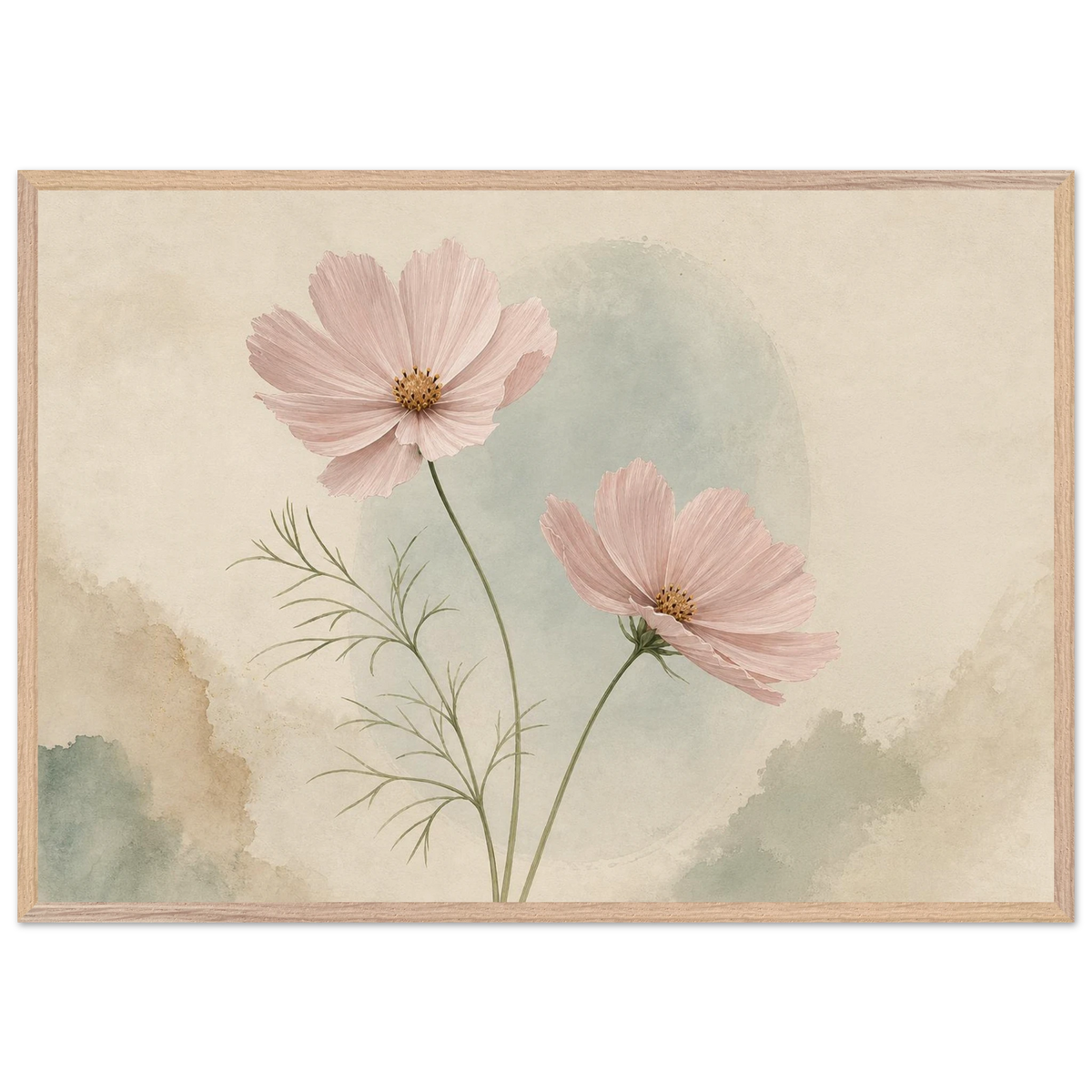 Cosmos Unison: flowers, blush and celadon. Framed fine art print by The Light Stays.