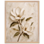 Gilded Magnolia: flowers and botanical. Framed fine art print, alternate frame and size.