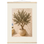 Olive Terrace, landscape and sun. Archival fine art poster shown framed.