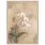 d7bc1812-d635-4a40-89de-49e42186fb81